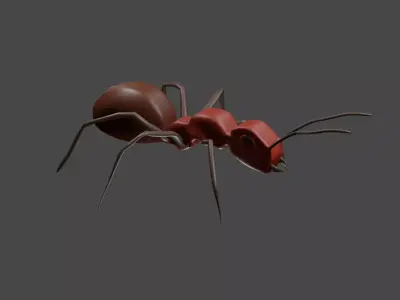 Ant model Free 3D model