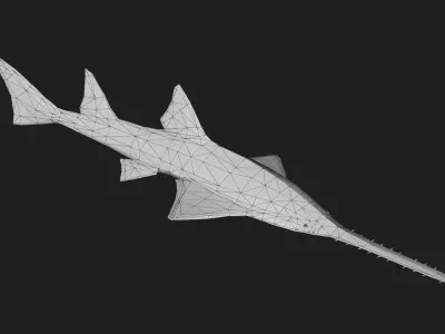 Knifetoothsawfish Low-poly 3D model