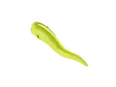 Character306 Eel 3D model