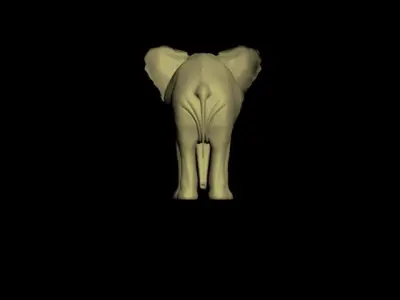 Elephant 3d models maya scene and 3ds max file 3D model