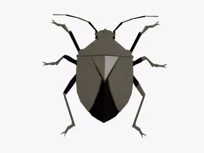 Bug low poly polygonal Low-poly 3D model
