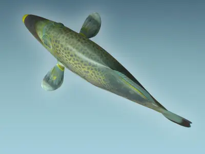 Trigerfish fish flying in sky 3D model