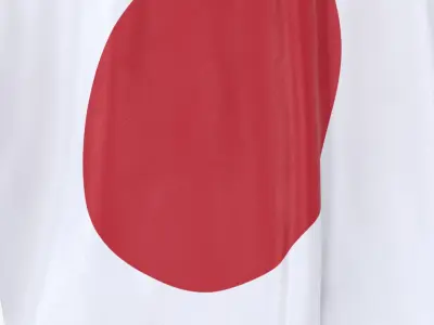  Japan Cloth Flag Wall Mount Animated 