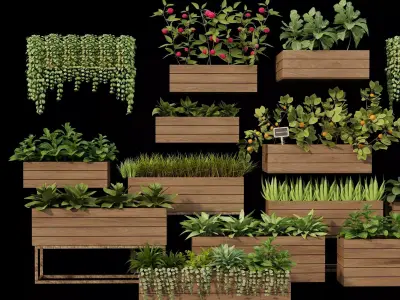 Home plants 3D model Low-poly 3D model