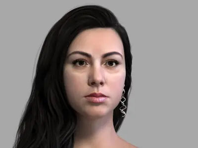 Realistic Long Brunette Female Hairstyle 3D model