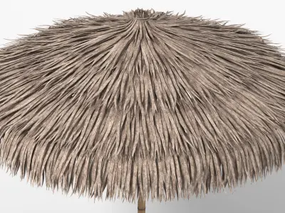 Straw Beach Umbrella with Bamboo Support 3D model