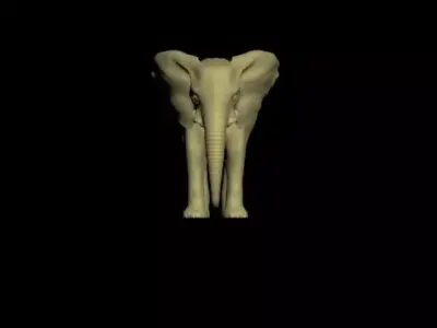 Elephant 3d models maya scene and 3ds max file 3D model