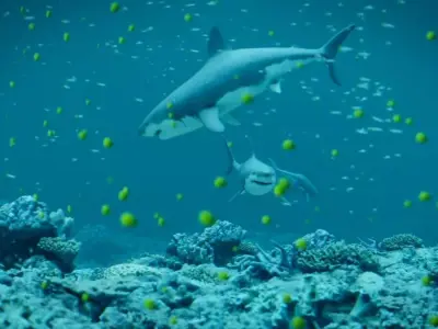 Underwater EcoSystem Free low-poly 3D model