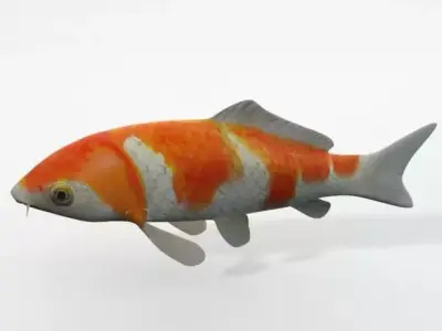 Koi fish Low-poly 3D model