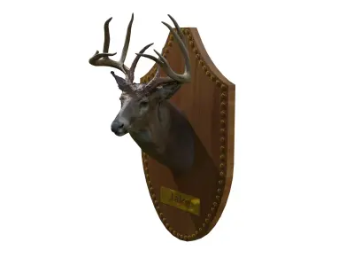 Deer Head Free 3D model
