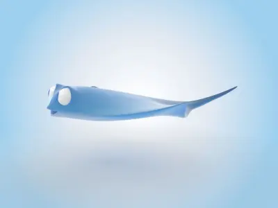 Stingray 3D model