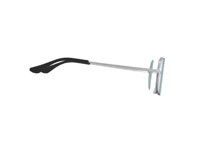 Tint Sunglasses 3D model