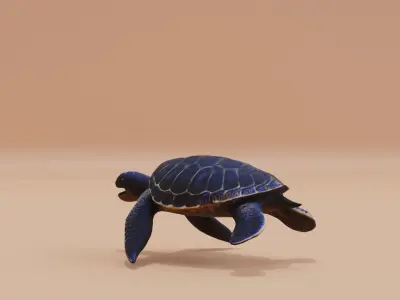 Turtle Sea with its sturdy shell Swimming Low-poly 3D model