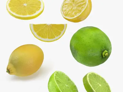 Lemon and Lime Collection 3D model
