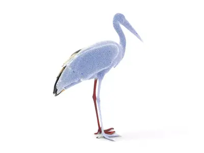 Elegant White Stork model pack Low-poly 3D model