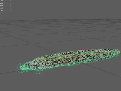 Lacedmoray Low-poly 3D model