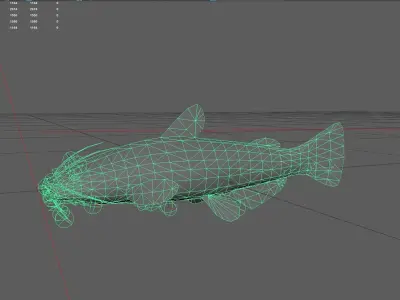 Catfish Low-poly 3D model 9