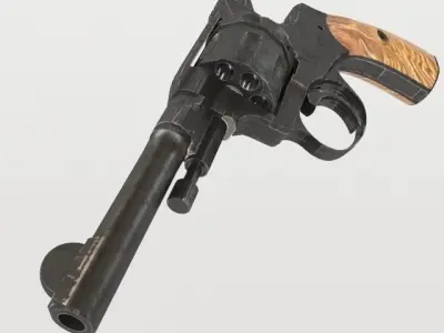 Nagan 3D model