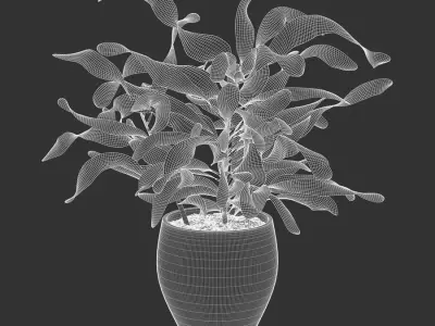  Mammy Croton Plant Potted Plant Model  get