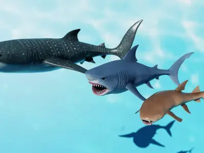 Shark package Low-poly 3D model
