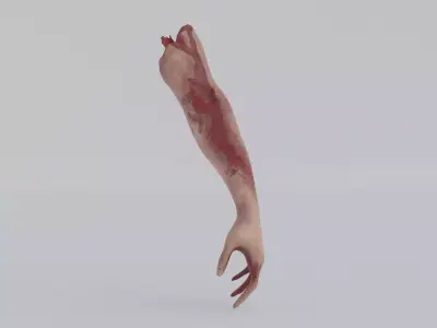 Accident hand Low-poly 3D model