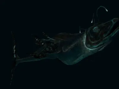 Fantastical Fish Low-poly 3D model