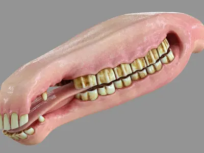  Horse Mouth HD 
