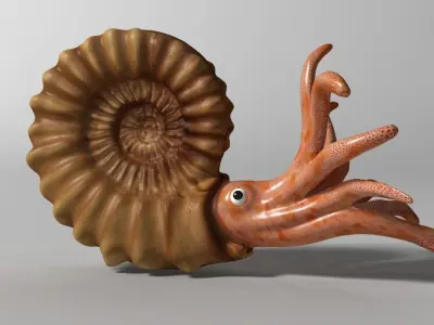 Ammonite with complete underwater scene Low-poly 3D model