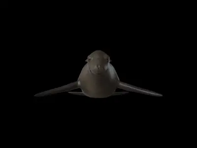 SEAL01 Rigged Seal 3D model