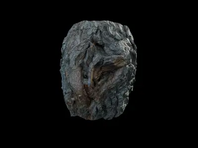 Anydrafts Salix matsudana Burl 02 Low-poly 3D model