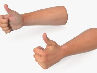 Realistic Hand Models of White Man Thumbs Up 3D model