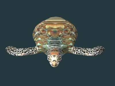 TURTLE sea 3D model