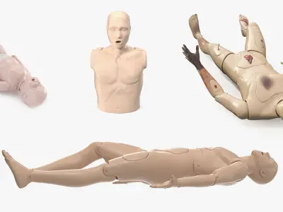  First Aid Training Manikins Collection 2 