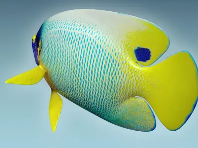 Angle Fish 16 3D model