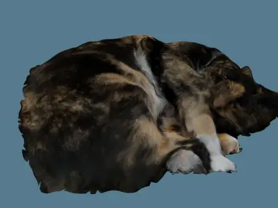 Sleeping Cat Photoscan Low-poly 3D model