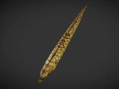 Lamprey eel Low-poly 3D model