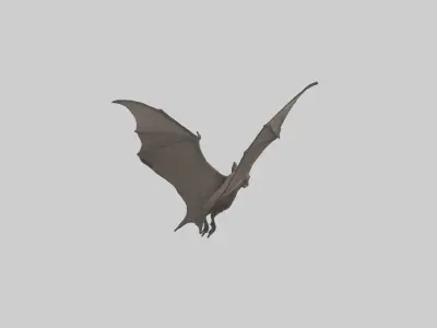 Fishing Bat flying model Low-poly 3D model