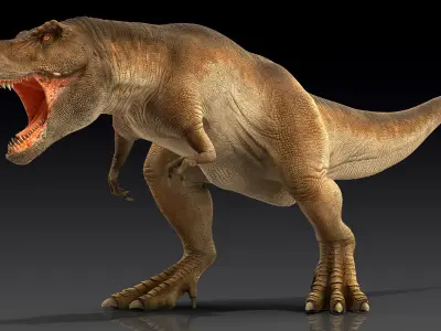 Animated Tyrannosaurus Rex Roaring Rigged for Cinema 4D 3D model