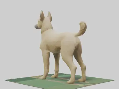 Berger Picard herding model Low-poly 3D model