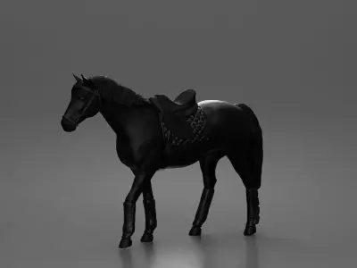 Mysterious hooded rider on dark steed ventures into silent night 3D print model