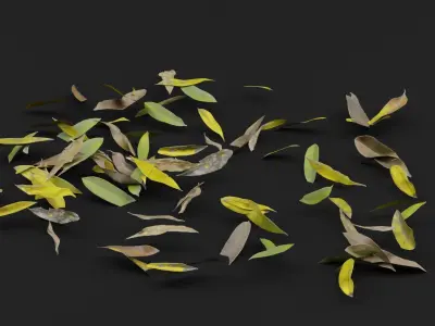 Dead Leaves  3D model