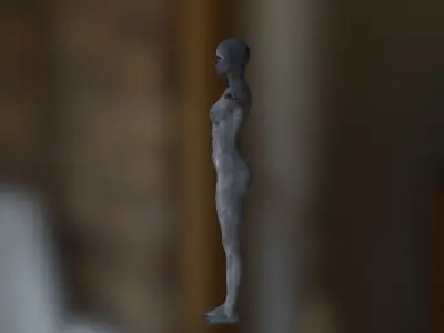 karakter human body 3D model