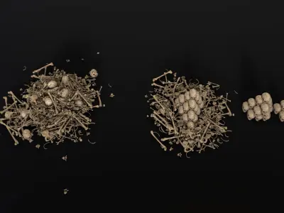 Broken Skulls with Spider Webs COLLECTION Low-poly 3D model