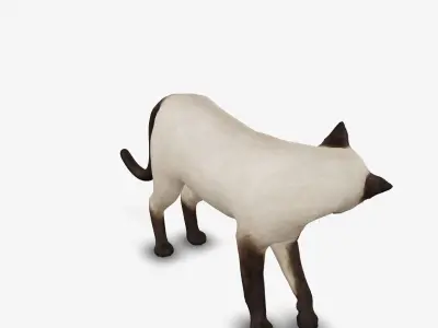 cat Siamese 3D model