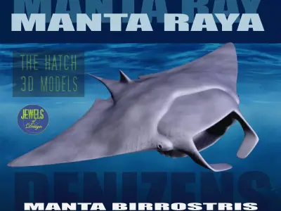 Manta Ray 3D model buy