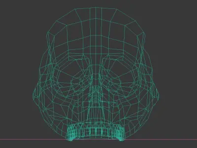 Skull Hominid 3D model