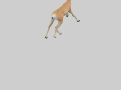 Gazelle bounding model Low-poly 3D model