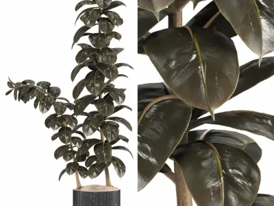 Indoor Plants in Ferm Living Bau Pot Large - Set027 3D model