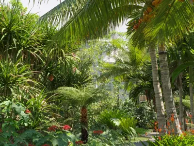 Collection 27 - Tropical garden 3D model
