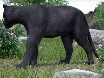 Black Panther Walking Pose 3D model